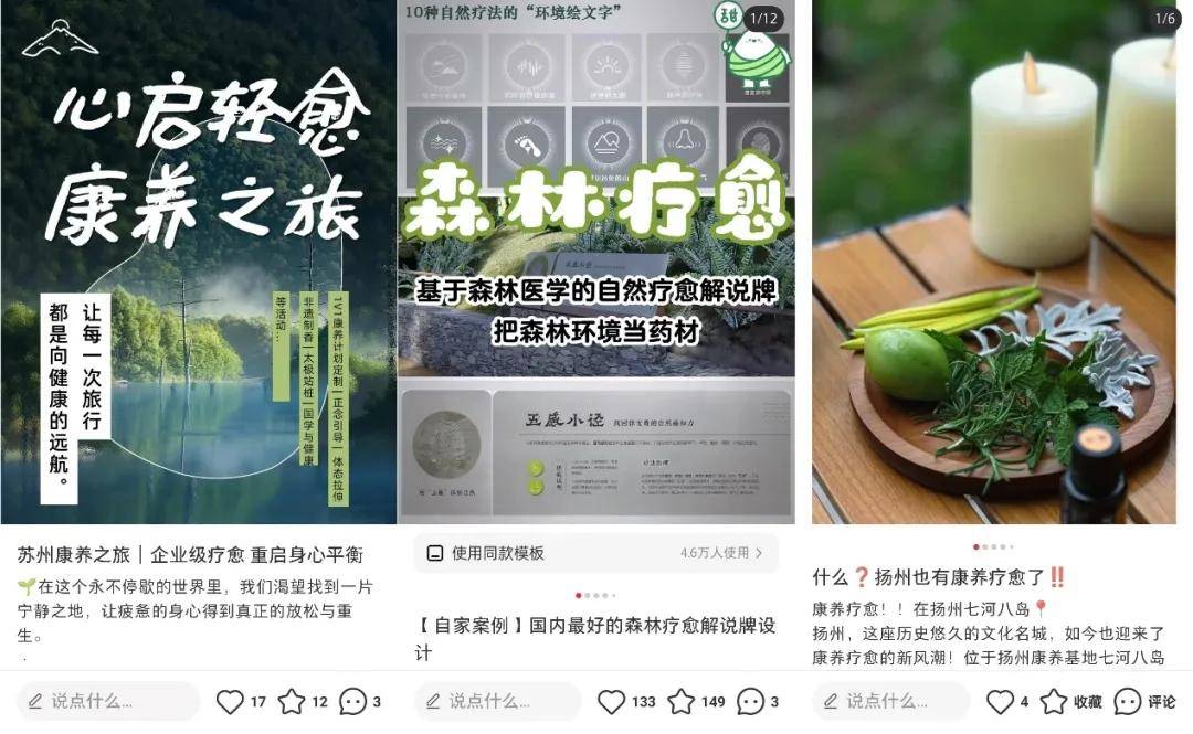 “康养+疗愈”模式成银发文旅新风口