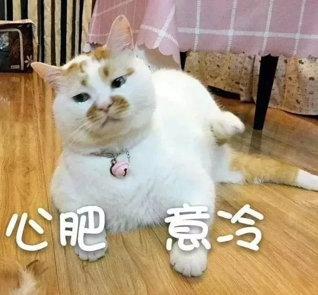 叶檀：你的养老谁做主？