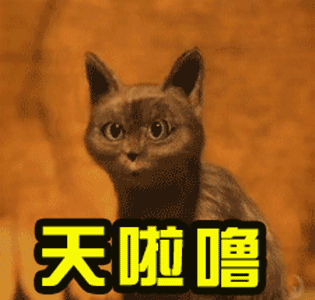 叶檀：你的养老谁做主？