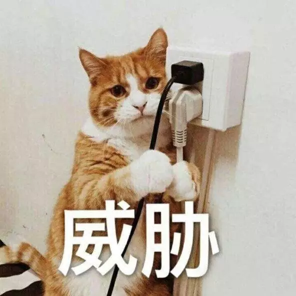 叶檀：你的养老谁做主？
