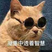 叶檀：你的养老谁做主？