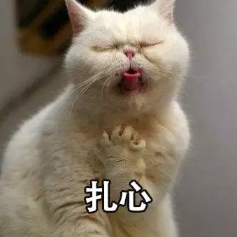 叶檀：你的养老谁做主？